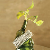 Eccentric Bottle Vase (Upcycled)